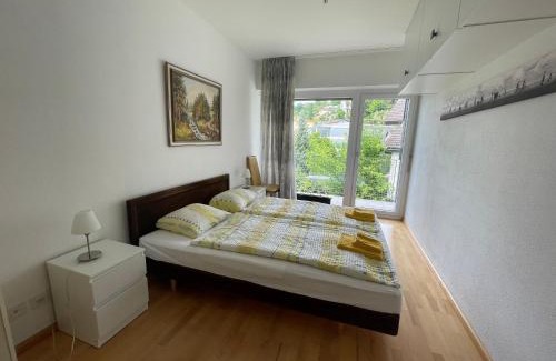 Muralto Apartment | Poolside Retreat at Muralto-Locarno: Collina Apt. 32