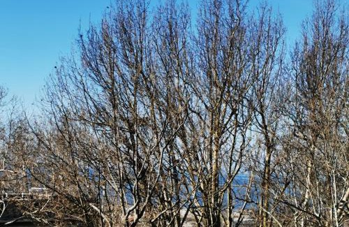 Citta Nuova-Barriera Nuova-San Vito-Citta Vecchia Bed & Breakfast | Pet-Friendly Murat Otto: Rated 9.4 with Breakfast Included