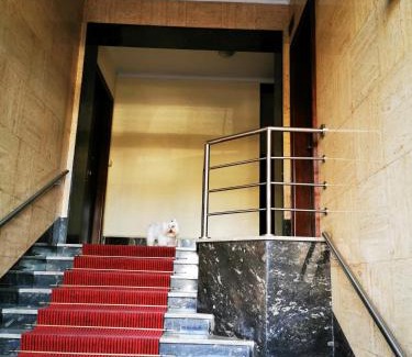 Citta Nuova-Barriera Nuova-San Vito-Citta Vecchia Bed & Breakfast | Pet-Friendly Murat Otto: Rated 9.4 with Breakfast Included