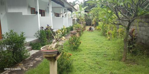Purwakerti House | Pet-Friendly Escape at Murni House with 9.5/10 Rating
