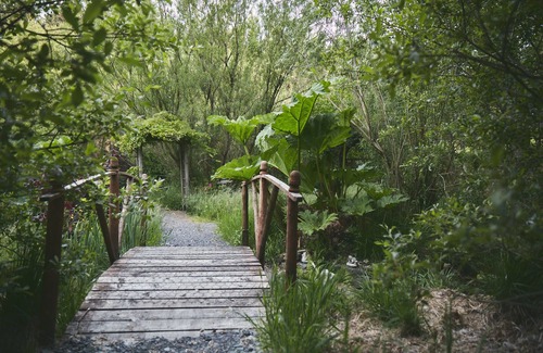 Glandyfi Cabin | Cozy Mushroom Yurt Nestled in Woodland with Breakfast Included