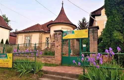 Paradfurdo Bed & Breakfast | Discover Muskátli Üdülőház: Pet-Friendly Retreat