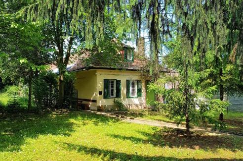 Paradfurdo Bed & Breakfast | Discover Muskátli Üdülőház: Pet-Friendly Retreat