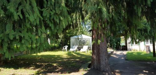 Paradfurdo Bed & Breakfast | Discover Muskátli Üdülőház: Pet-Friendly Retreat