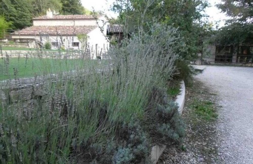Casalciprano House | Delightful Getaway: Pet & Child Friendly Experience Awaits