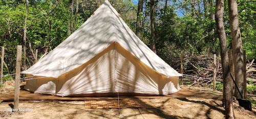South Bend Other | Discover Mustang Sally's Park: Pet-Friendly Family Retreat