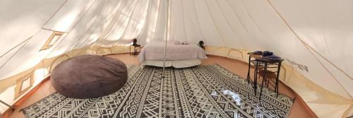South Bend Other | Discover Mustang Sally's Park: Pet-Friendly Family Retreat