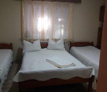Lupeni House | Discover Muzsikás Vendégház: Pet and Child Friendly Haven