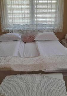Lupeni House | Discover Muzsikás Vendégház: Pet and Child Friendly Haven