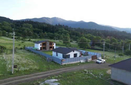 Likani Cabin | Cozy MV Cottages: Family & Pet-Friendly Retreat Awaits