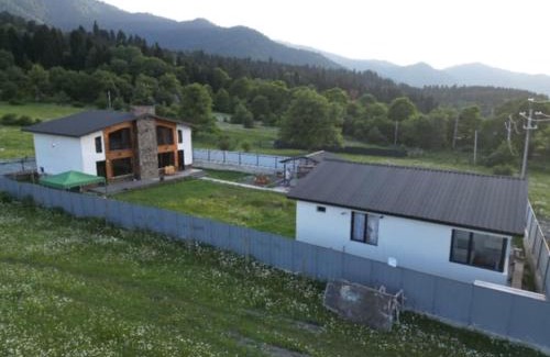 Likani Cabin | Cozy MV Cottages: Family & Pet-Friendly Retreat Awaits
