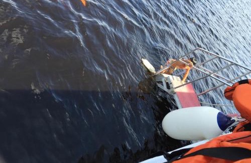 Centro Boat Rental | Discover MV Desafio: Pet-Friendly Oasis with Ocean Views