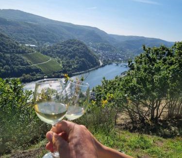 Treis-Karden Apartment | Experience MV Römervilla: Panoramic Views & Relaxing Spa