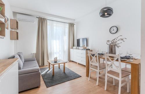Rzeszow Apartment | Experience MW 3B Apartamenty: Pet and Child Friendly Stay