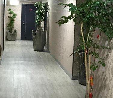 Luodong Hotel | Cozy My House Hotel: Family-Friendly & Highly Rated Stay