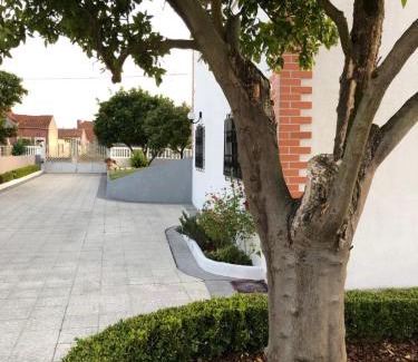 Cantanhede Apartment | Pet-Friendly Retreat at My House in Mira, Cantanhede Beach