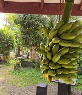 Midigama Hotel | Guest Rated: My Paradise with Breakfast & Family Amenities