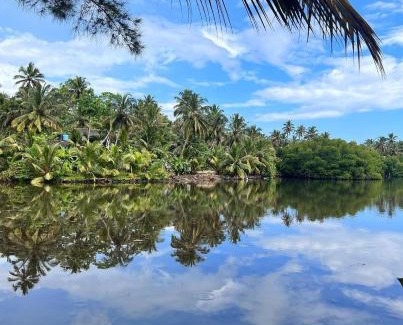 Midigama Hotel | Guest Rated: My Paradise with Breakfast & Family Amenities