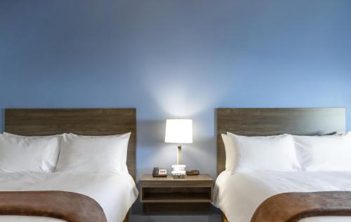 Grand Rapids Hotel | Top-Rated My Place Hotel in Grand Rapids, MN - Pet Friendly