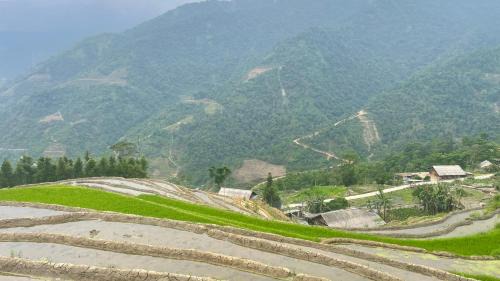 Sa Pa House | Top-Rated My's Homestay in Sapa with Delicious Breakfast