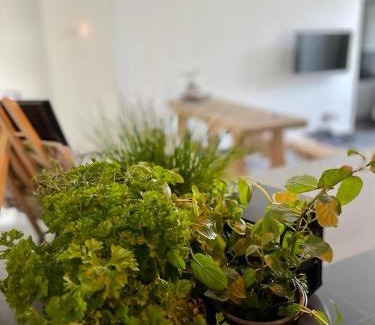 Irrel Apartment | Pet-Friendly Retreat at Mya Lenas Suite with Hot Tub