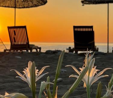 Cirali Resort | Experience Myland Nature with Private Beach and Ocean Views