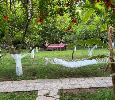 Cirali Resort | Experience Myland Nature with Private Beach and Ocean Views