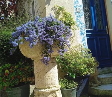 Saint-Regnobert-de-la-Cote-de-Nacre Bed & Breakfast | Discover MYSaintAubin: Pet-Friendly Oceanfront Escape