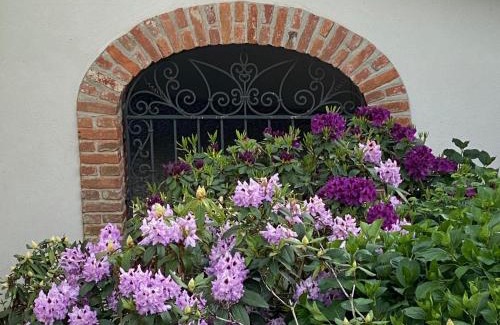 Palazzo Canavese Bed & Breakfast | Unforgettable Stays at MyVilla B&B - Top Rated 10/10