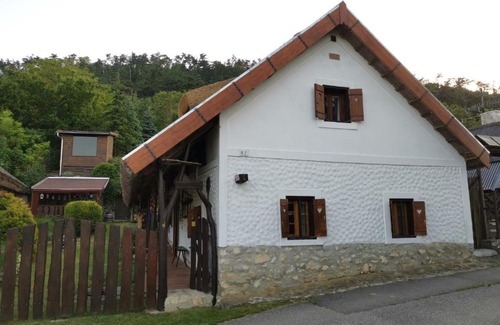 Nemesvita House | Relax at Nádas Vendégház és Wellness - Pet Friendly Retreat