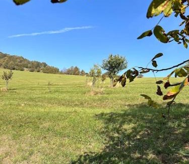Vyskovec Apartment | Relax in Nature: Child-Friendly Escape with 9.4/10 Rating