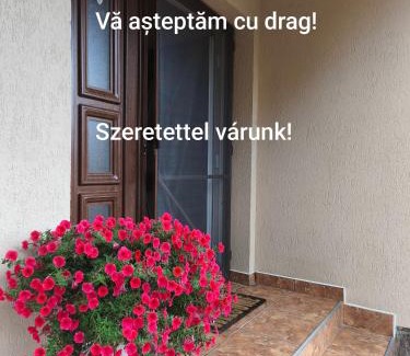 Corund Bed & Breakfast | Pet-Friendly Nárcisz B&B with Breakfast & Family Amenities