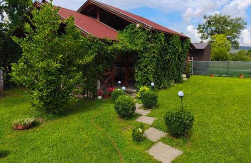 Corund Bed & Breakfast | Pet-Friendly Nárcisz B&B with Breakfast & Family Amenities