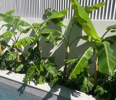 Mesolongi Hotel | Nõs Luxury Rooms