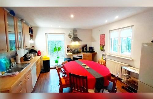Sudstadt House | Discover Nürnberg's Cozy Getaway with Family-Friendly Perks