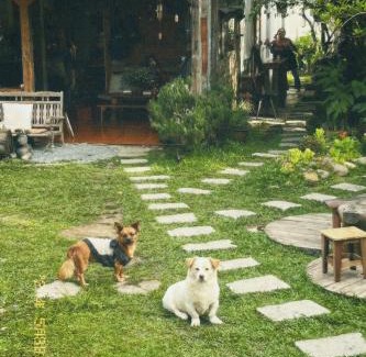 Da Lat House | Discover Nấp ở TEEPEE Homestay: Pet-Friendly Retreat
