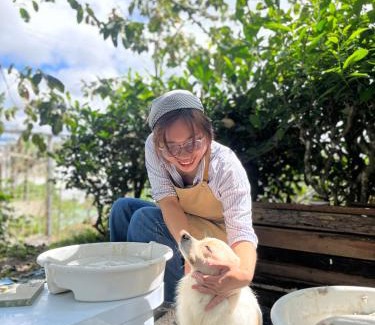 Da Lat House | Discover Nấp ở TEEPEE Homestay: Pet-Friendly Retreat
