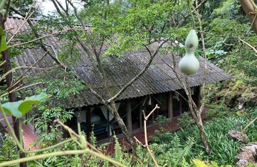 Nam Cang House | Cozy Nậm Cang Homestay: Pet-Friendly with Pool & Hot Tub
