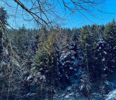 Szczawnica Apartment | Discover Na Świerkowym Strychu: Guest Rated 9.8/10