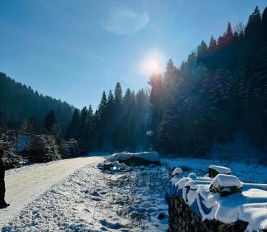 Szczawnica Apartment | Discover Na Świerkowym Strychu: Guest Rated 9.8/10