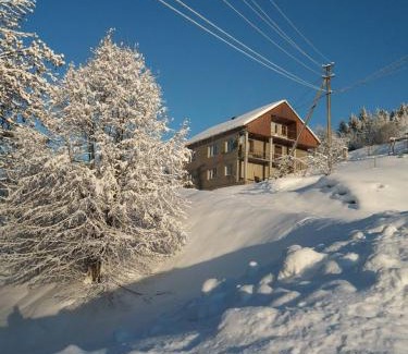 Podobovets House | Discover Na Gorbochku: Family-Friendly with Hot Tub