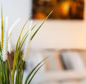 St. Gallen Apartment | Nachhaltig Wohnen im 1, Stock, gratis Parkplatz!