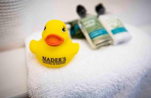 Ludington Hotel | Discover Nader's Motel & Suites: Oceanfront Retreat