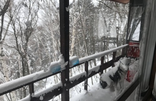 Yuzawa House | Relaxing Retreat at Naeba Ski Resort - Escape to Nature