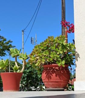 Gefira Mpania House | Nafpaktos Country Home: Family-Friendly Retreat with 10/10 Score