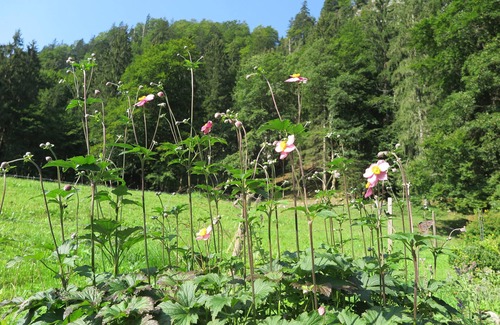 Aschau im Chiemgau Apartment | Family-Friendly Nagelschmiede: Cozy Retreat with Extra Rooms