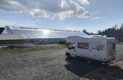 Pargas Other | Discover Nagu Glamping: Family & Pet-Friendly Retreat