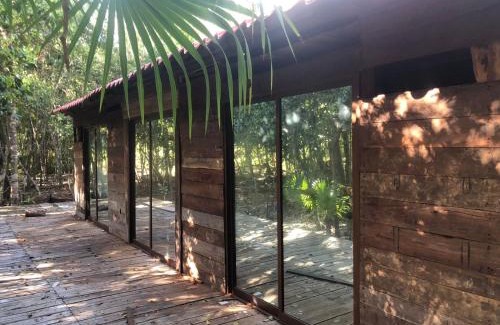 Leona Vicario House | Relaxing Nagual Yoga Jungle Retreat for the Whole Family