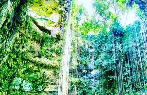 Leona Vicario House | Relaxing Nagual Yoga Jungle Retreat for the Whole Family