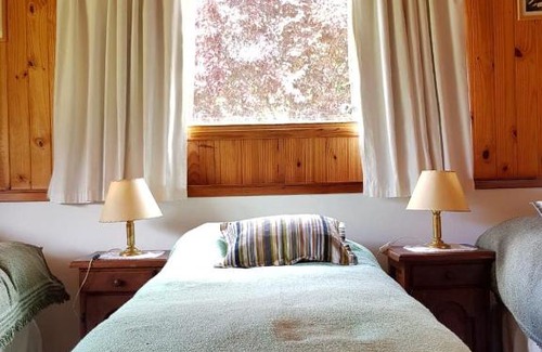 Pilo Lil Cabin | Pet-Friendly Nahuel Mapi Lodge with Private Beach & Pool